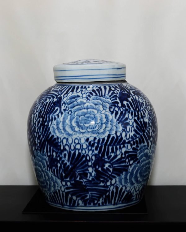 Iris_Vaso Cinese 12 copy giara porcellana blu e bianco