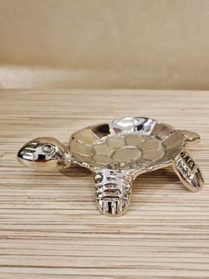 tartaruga oggettistica interior