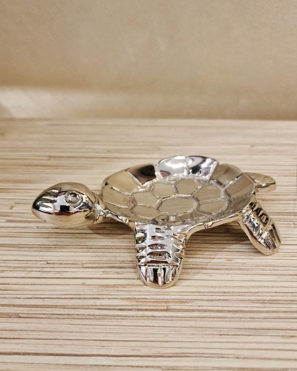 tartaruga oggettistica interior